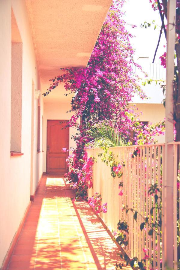 El Penell Apartament Llevant Vilamaniscle Exterior photo