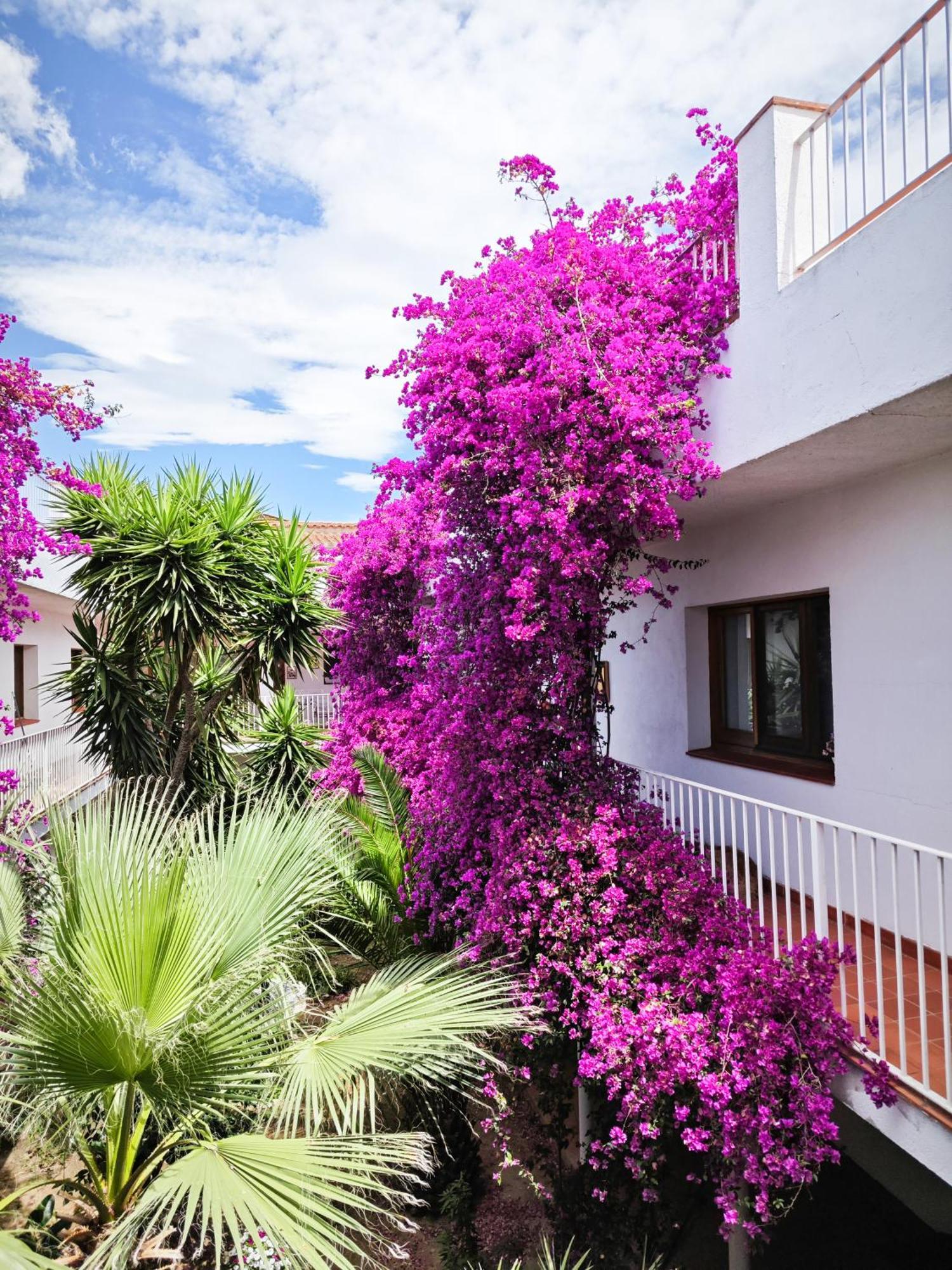 El Penell Apartament Llevant Vilamaniscle Exterior photo
